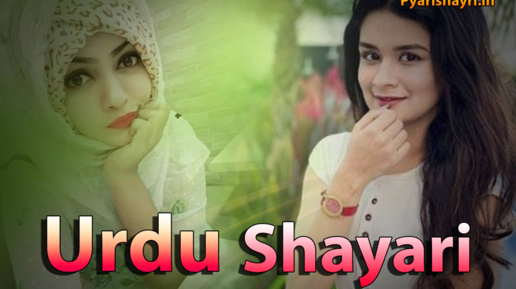 shayari urdu